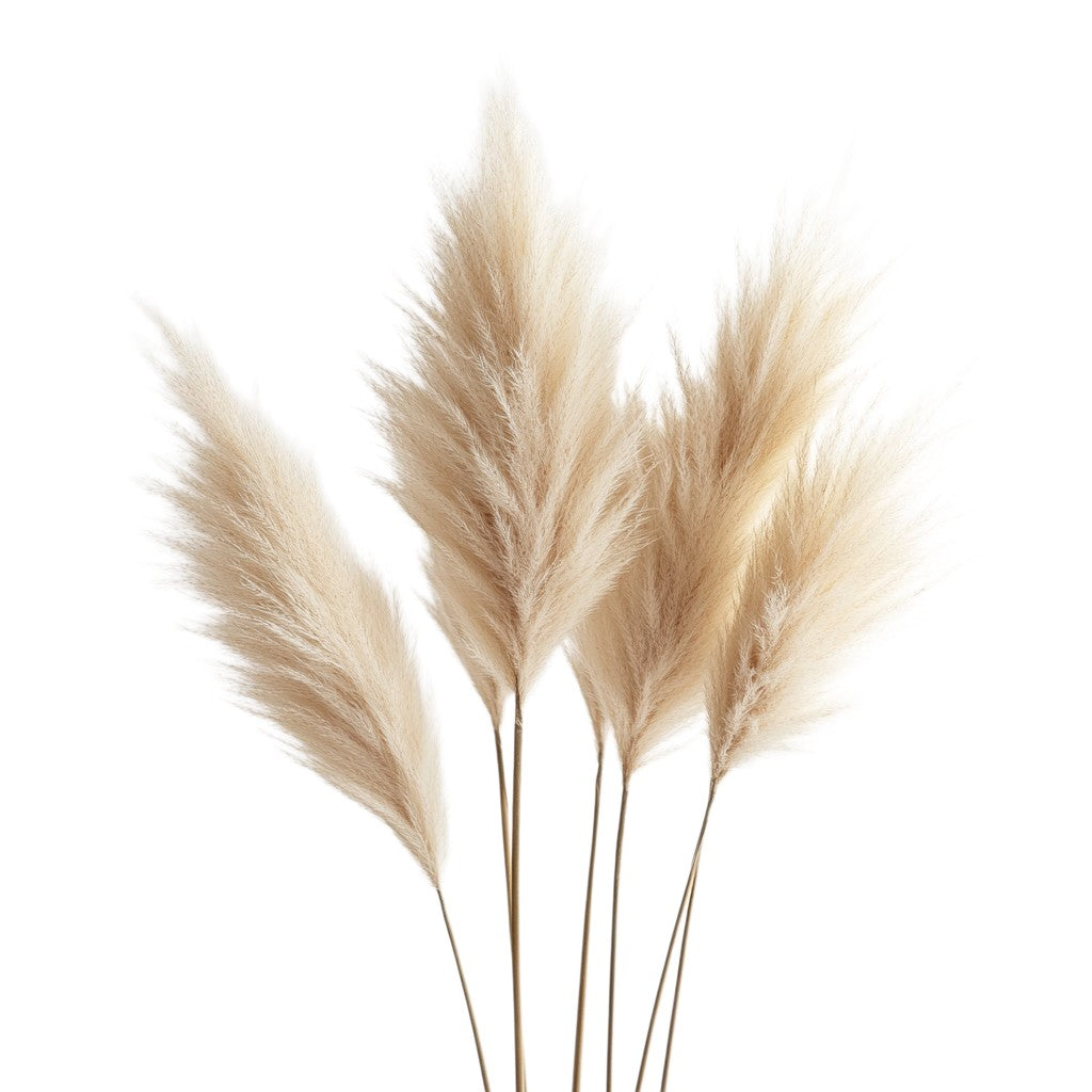 Mvdxq 5-Pack Pampas Grass Decor - Natural Dried Flowers for Home Decor - Fluffy Pampas for Living Room, Wedding & Vase - Beige