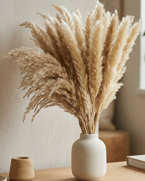 Mvdxq Dried Pampas Mini Bundle Oat 18 in 24 Stems - Lifestyle view
