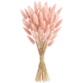 Mvdxq Preserved Bunny Tail Bouquet Blush 16 in 30 Stems - Product view
