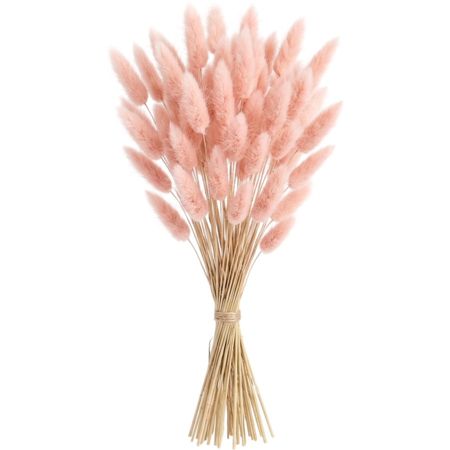 Mvdxq Preserved Bunny Tail Bouquet Blush 16 in 30 Stems